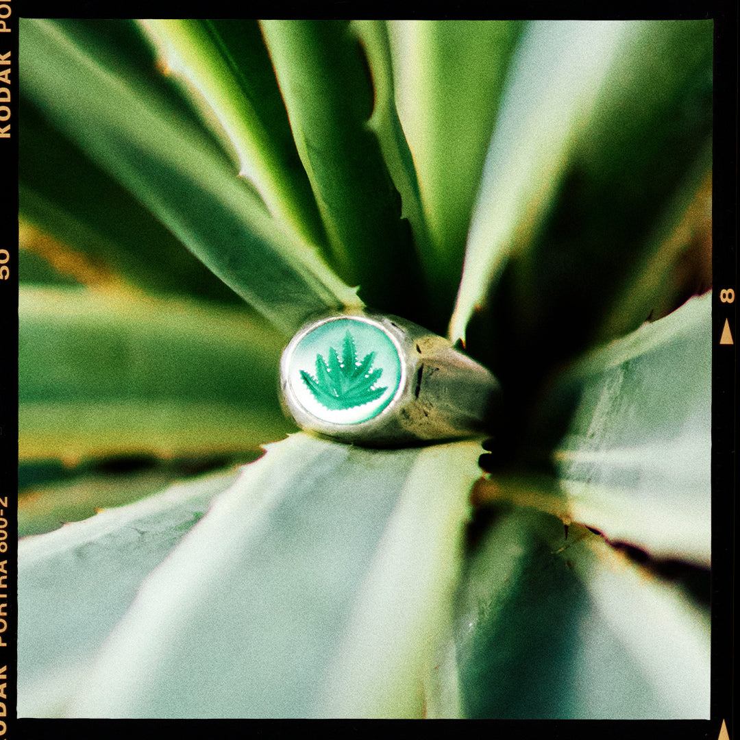 products:aloe-there