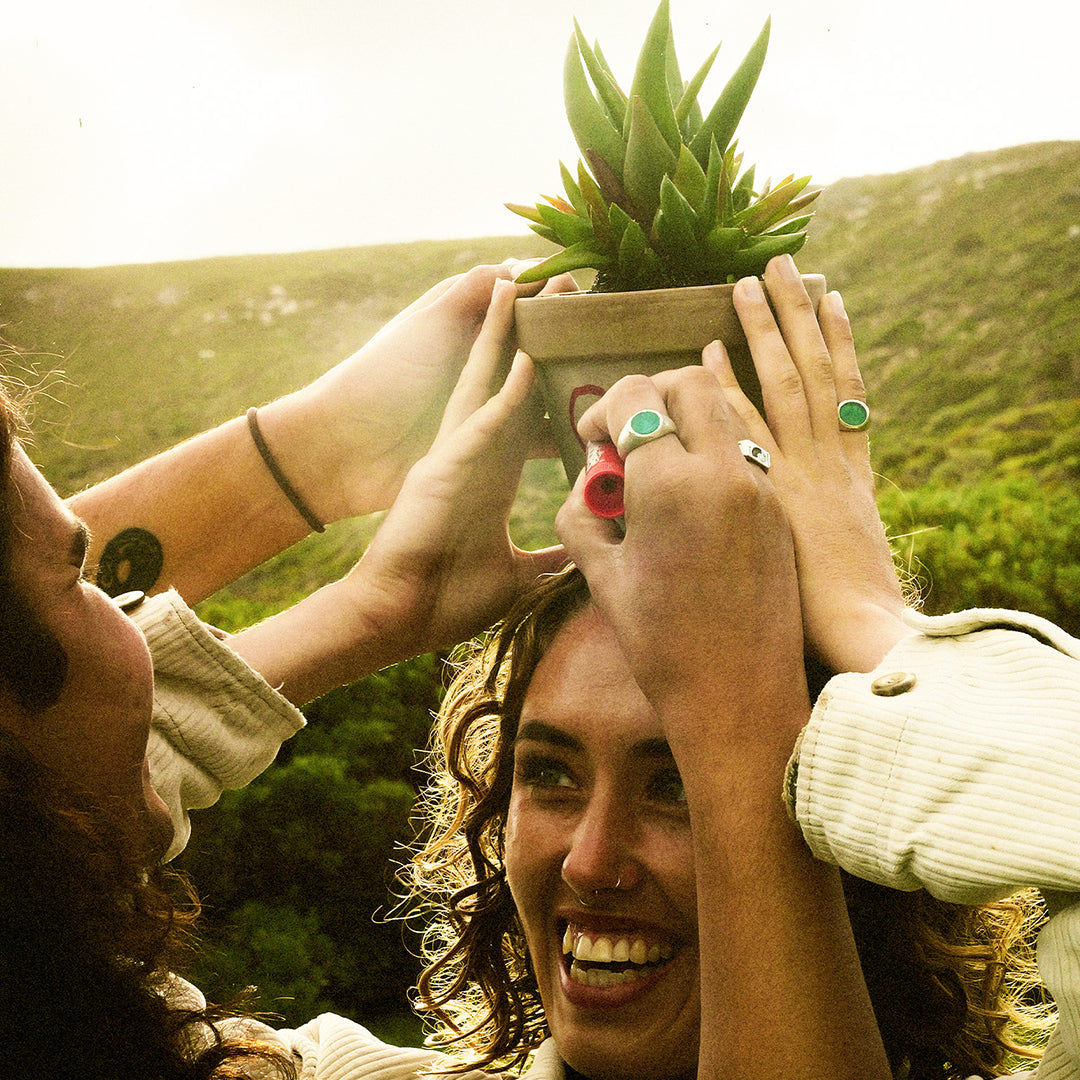 products:aloe-there,fibonacci-ring