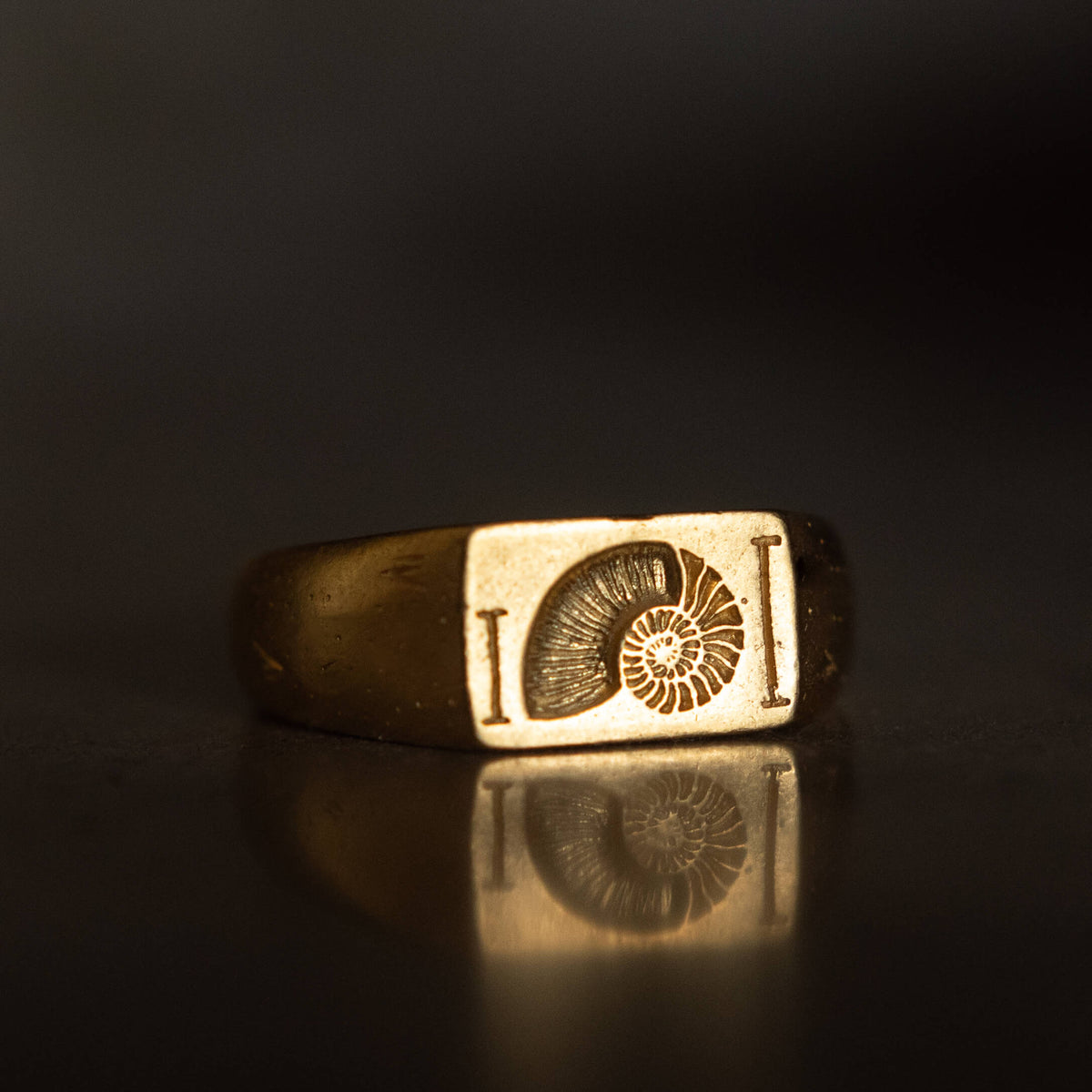 products:fibonacci-ring-g