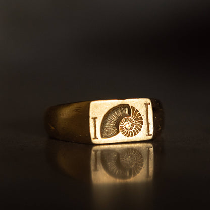 products:fibonacci-ring-g