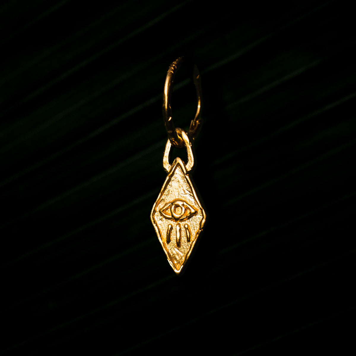 products:wise-eyes-earring-g