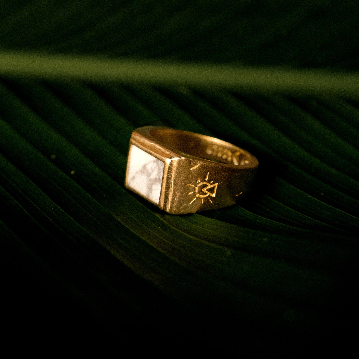 products:howlite-seeker-ring-g