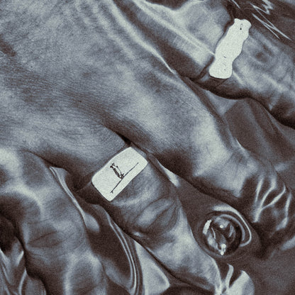 products:back-in-the-day-silver,lost-treasure