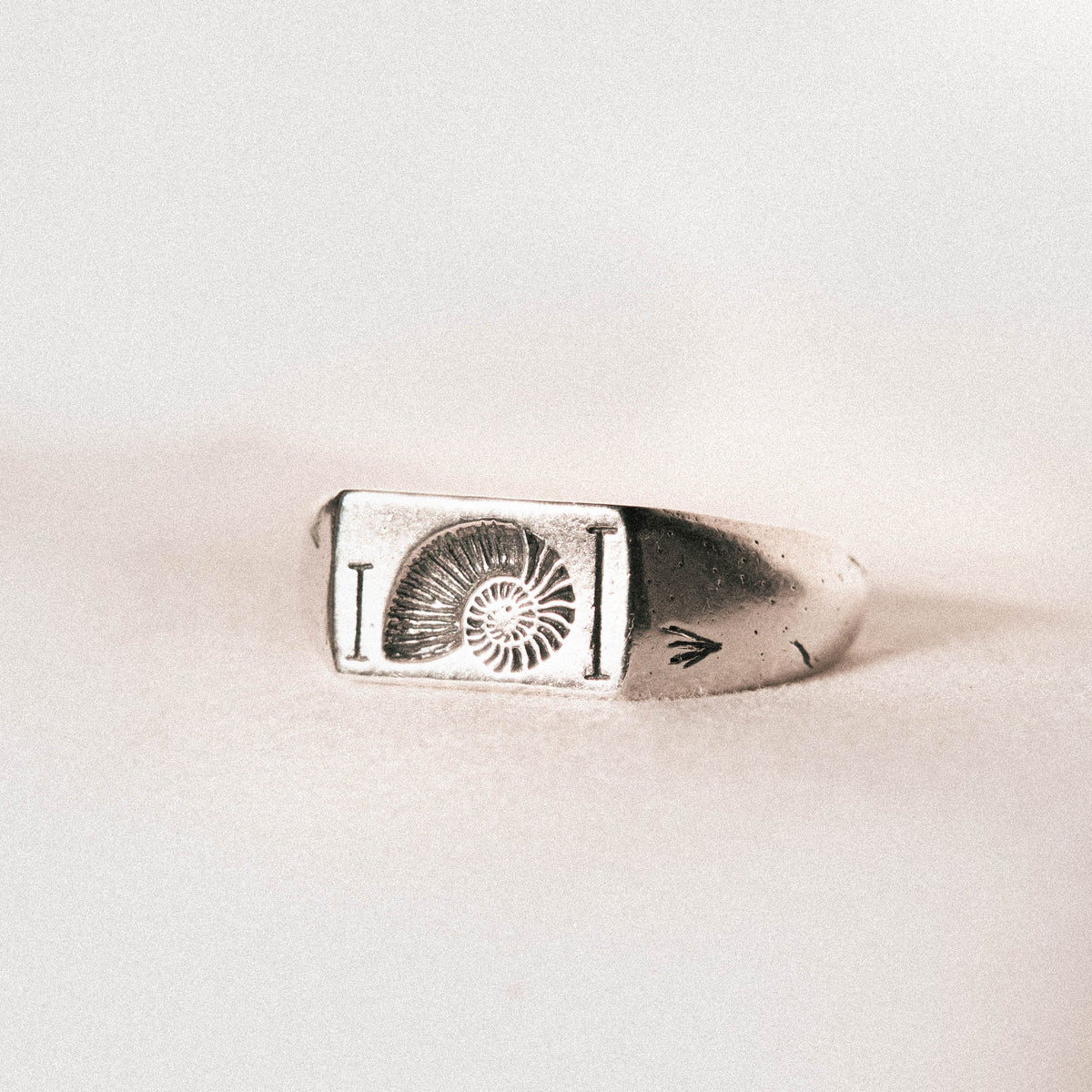 products:fibonacci-ring