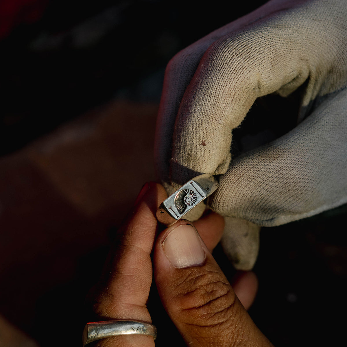 products:fibonacci-ring,lost-treasure