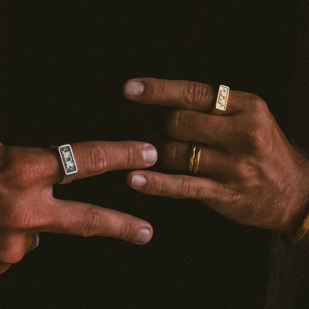 products:gift-of-gods-gold,gift-of-gods,three-amigos-gold