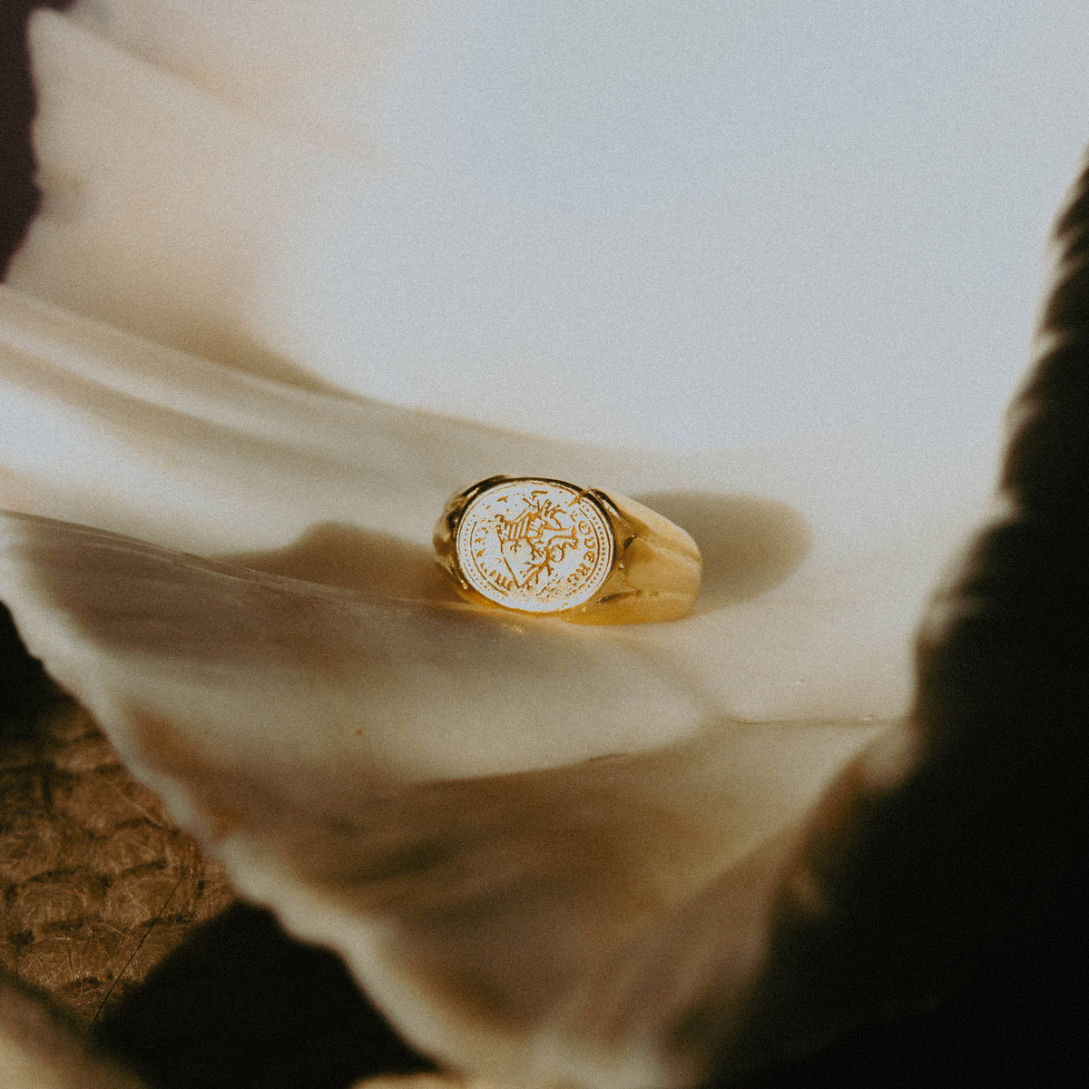products:true-north-ring