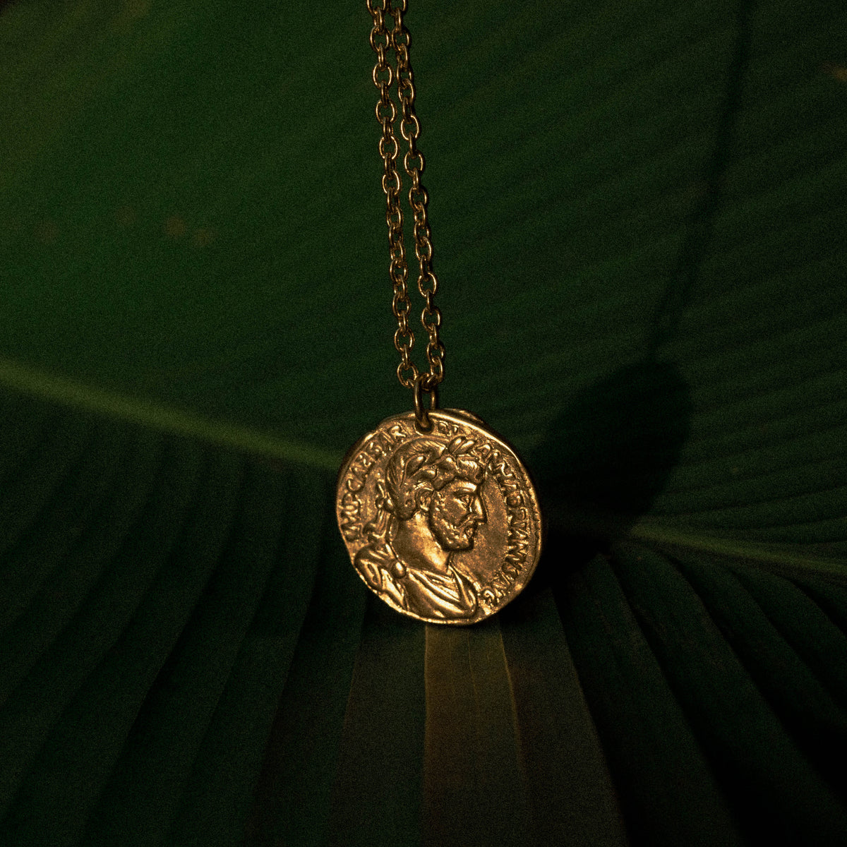 products:ancient-phoenix-gold