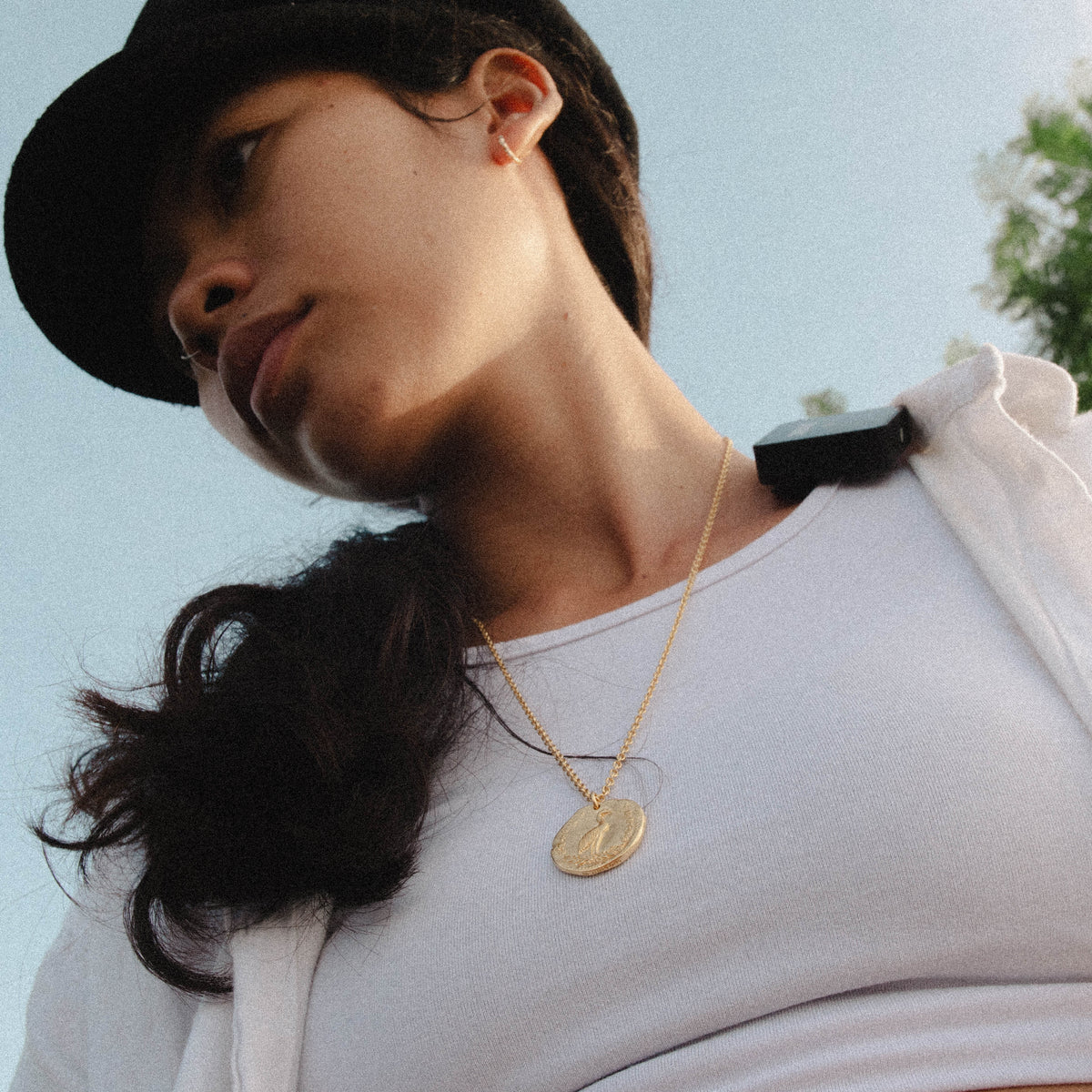 products:ancient-phoenix-gold